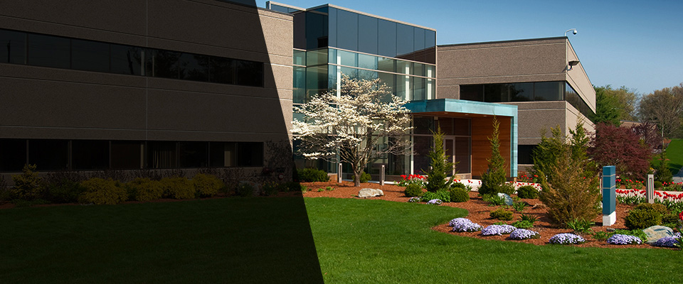 Mulberry Landscapers