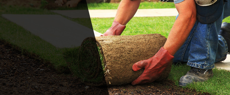 Mulberry Landscapers